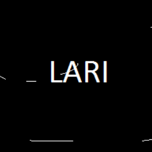 lari.music
