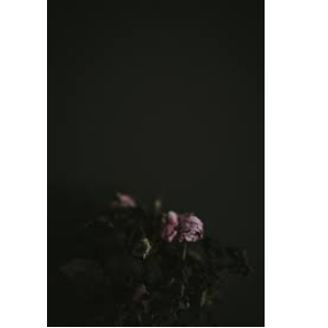 stolen_stone