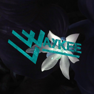 Waykee
