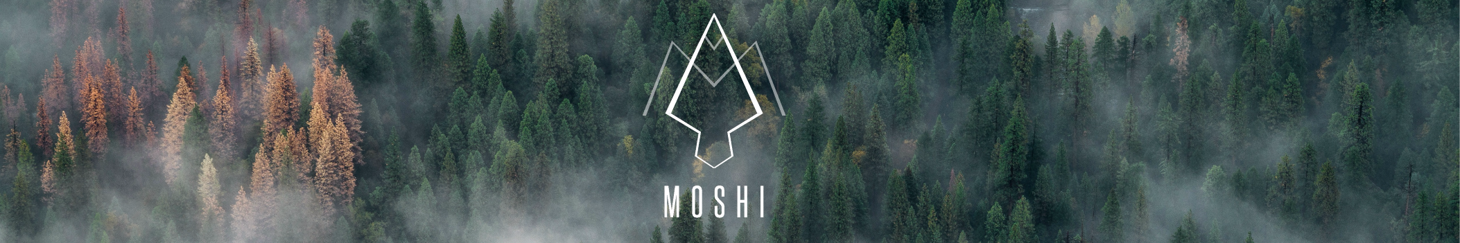 Miguelmoshi