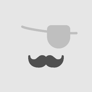 willemeyepatch