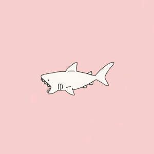 sharkdanceofficial