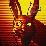 Jay Rabbit