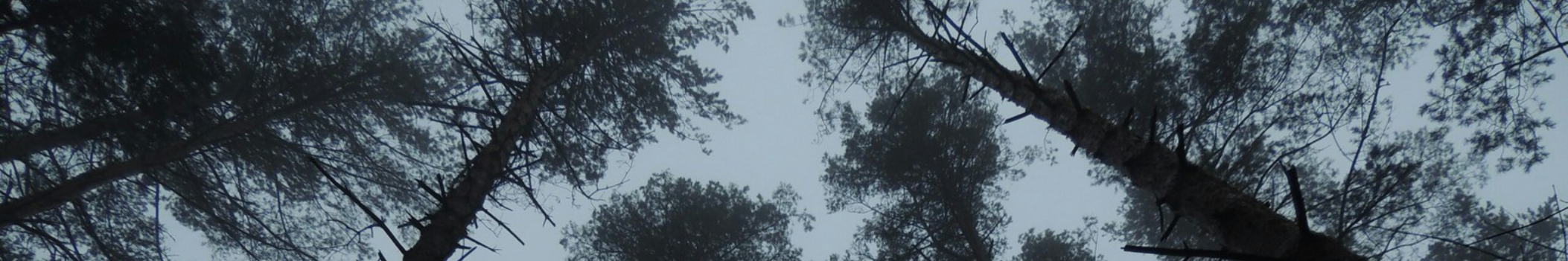 Howl Claw