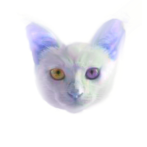 Meowkan
