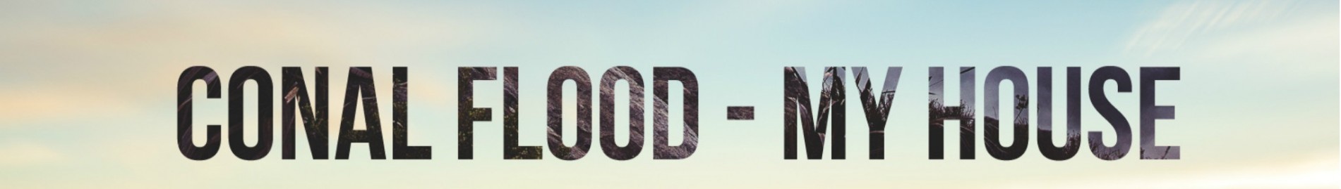 Conal Flood
