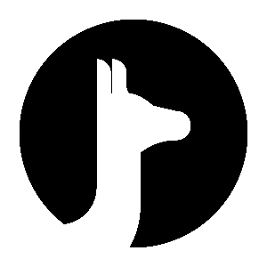 Guanaco