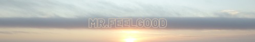 MR.FEELGOOD