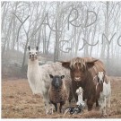 Yard Gang