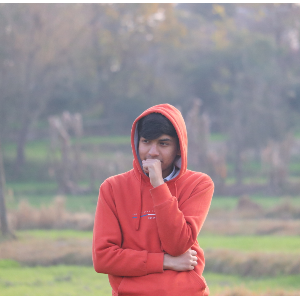Singano
