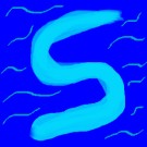 Shanupa