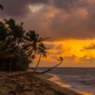EZZAR