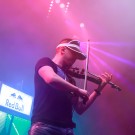 Maestro Chives