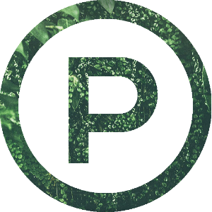 PaboMusic