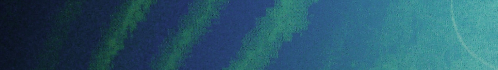 A X  |  P L
