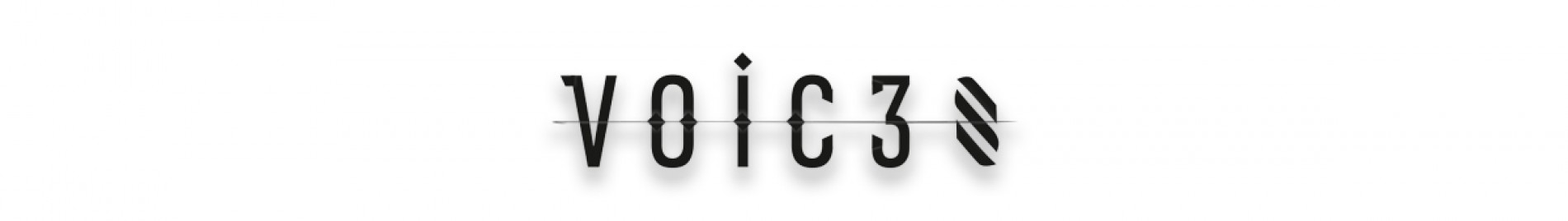 VOIC3S
