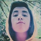 Somnius
