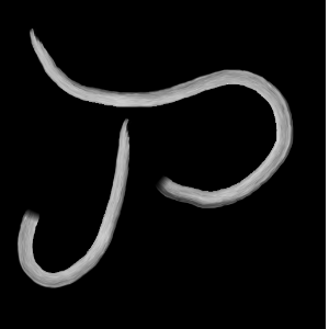 Progressive J