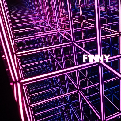 F1NNY