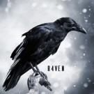 R4VEN