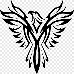 Night Eagle