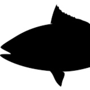 TOQUI