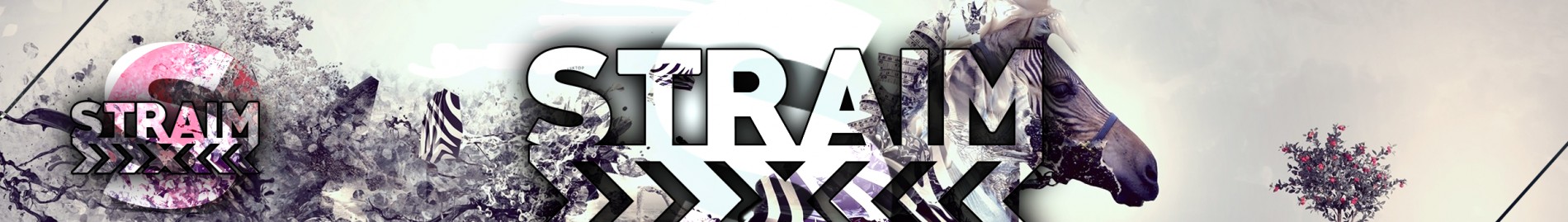 Straim Official