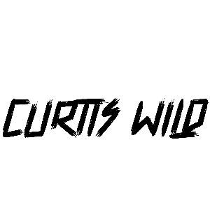 Curtis Styves