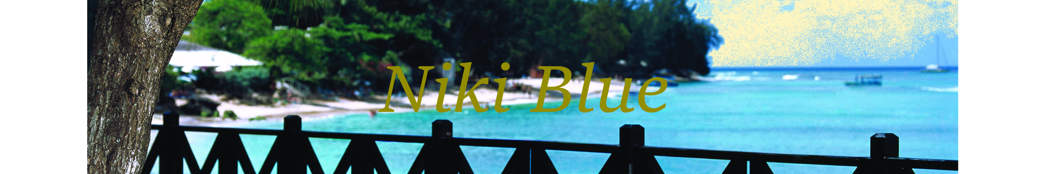 Niki Blue