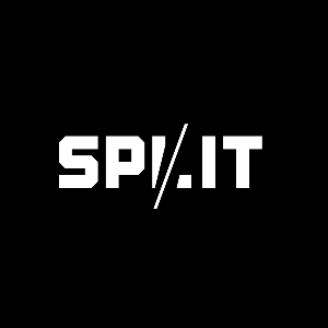SP/IT