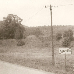 Staromoden