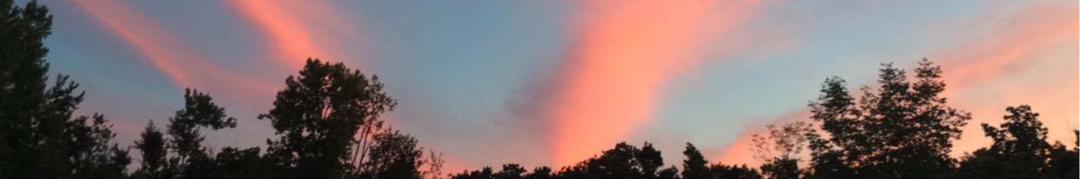 Jason Winks