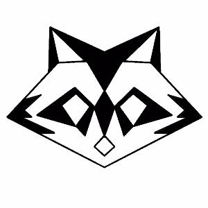 Rakun