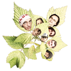 HoednBROductionZ
