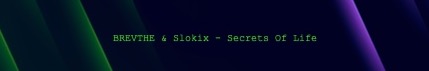 Slokix