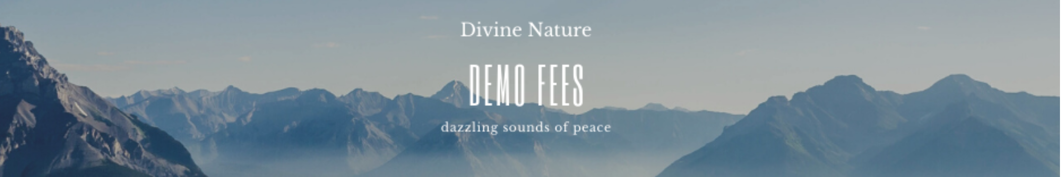 Demo Fees