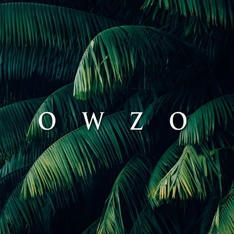 Owzo