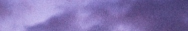 Vedi