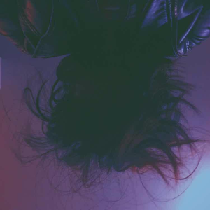 S e a g l o