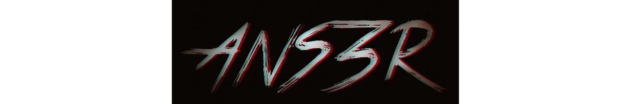 ANS3R