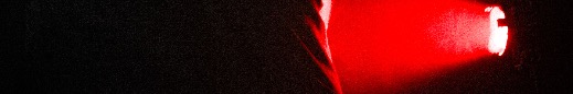 Elous