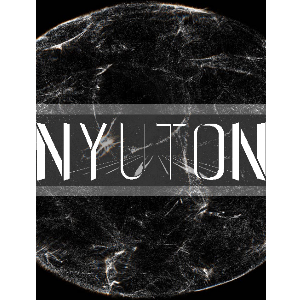 NYUTON