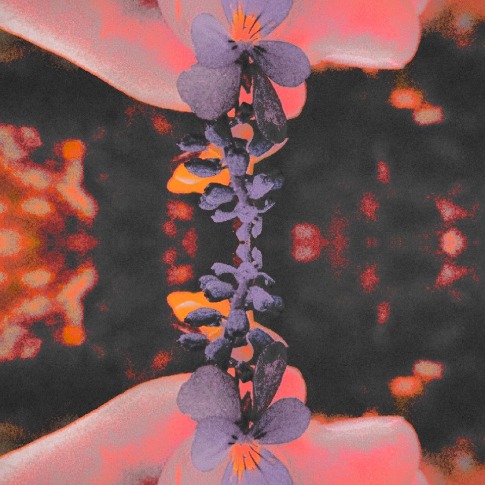 GRNVLR