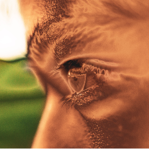GLDN EYE