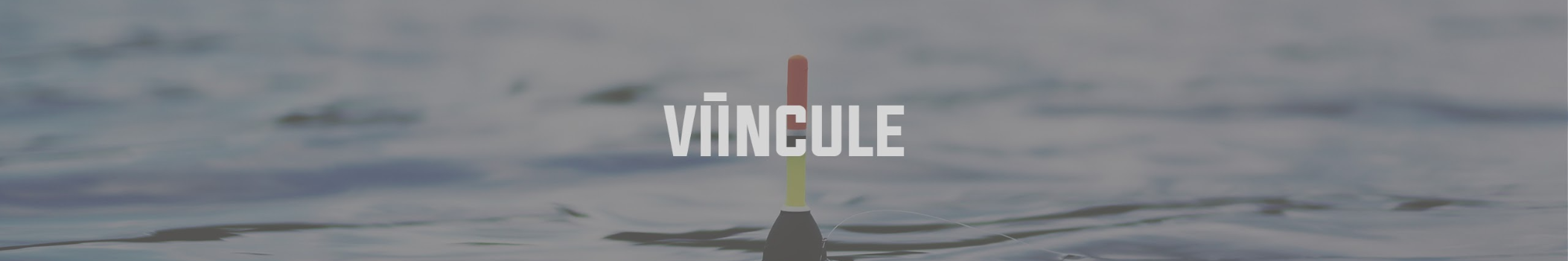 VIINCULE
