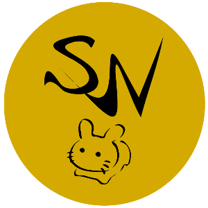 SLOW WARP
