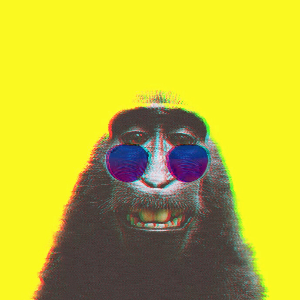 WØØFĘR