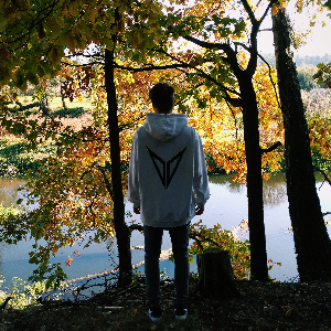 Fake Eagle
