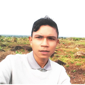 Areyxx