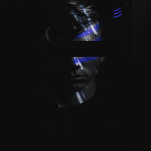 Veromity